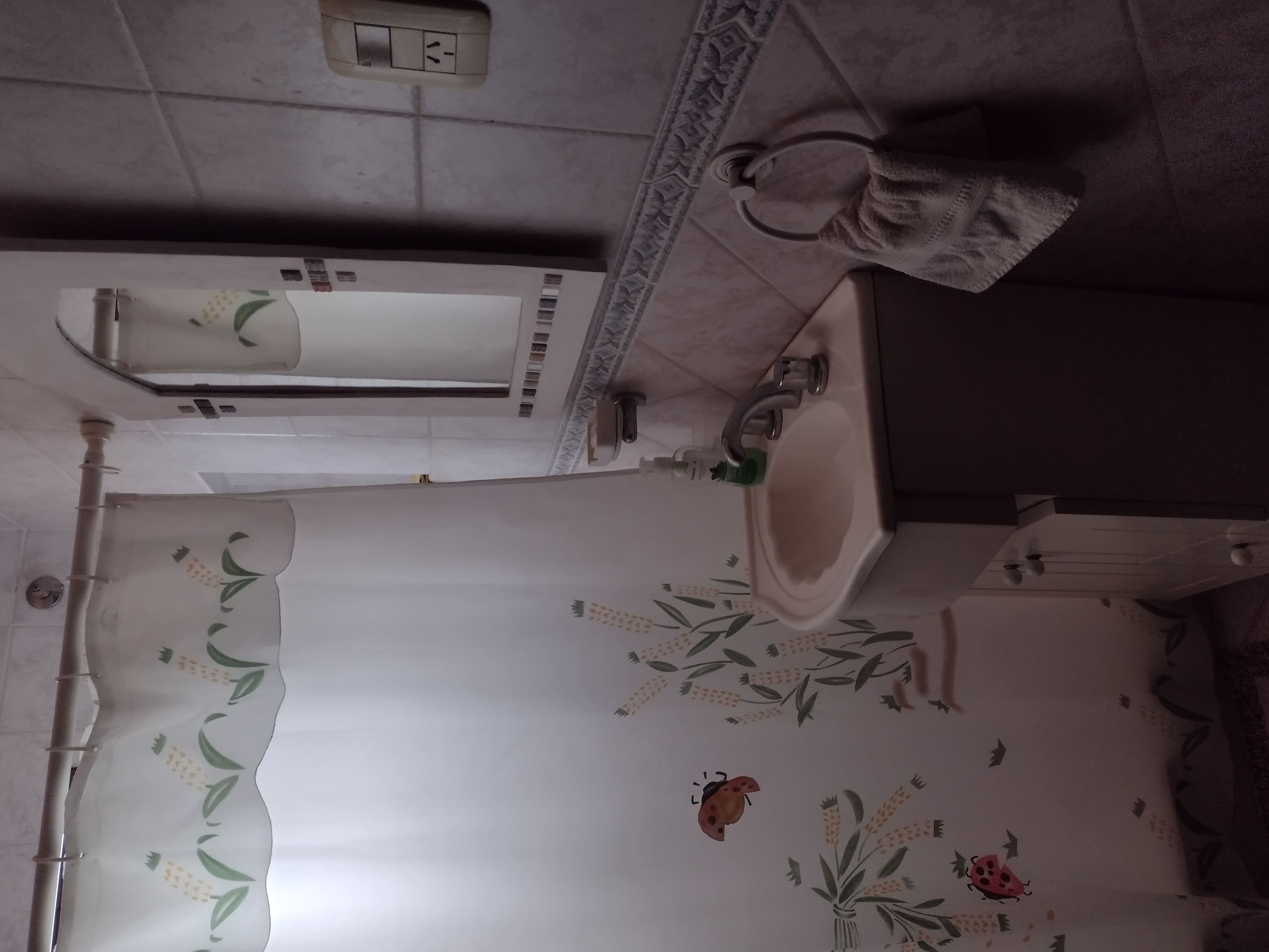 Baño planta alta