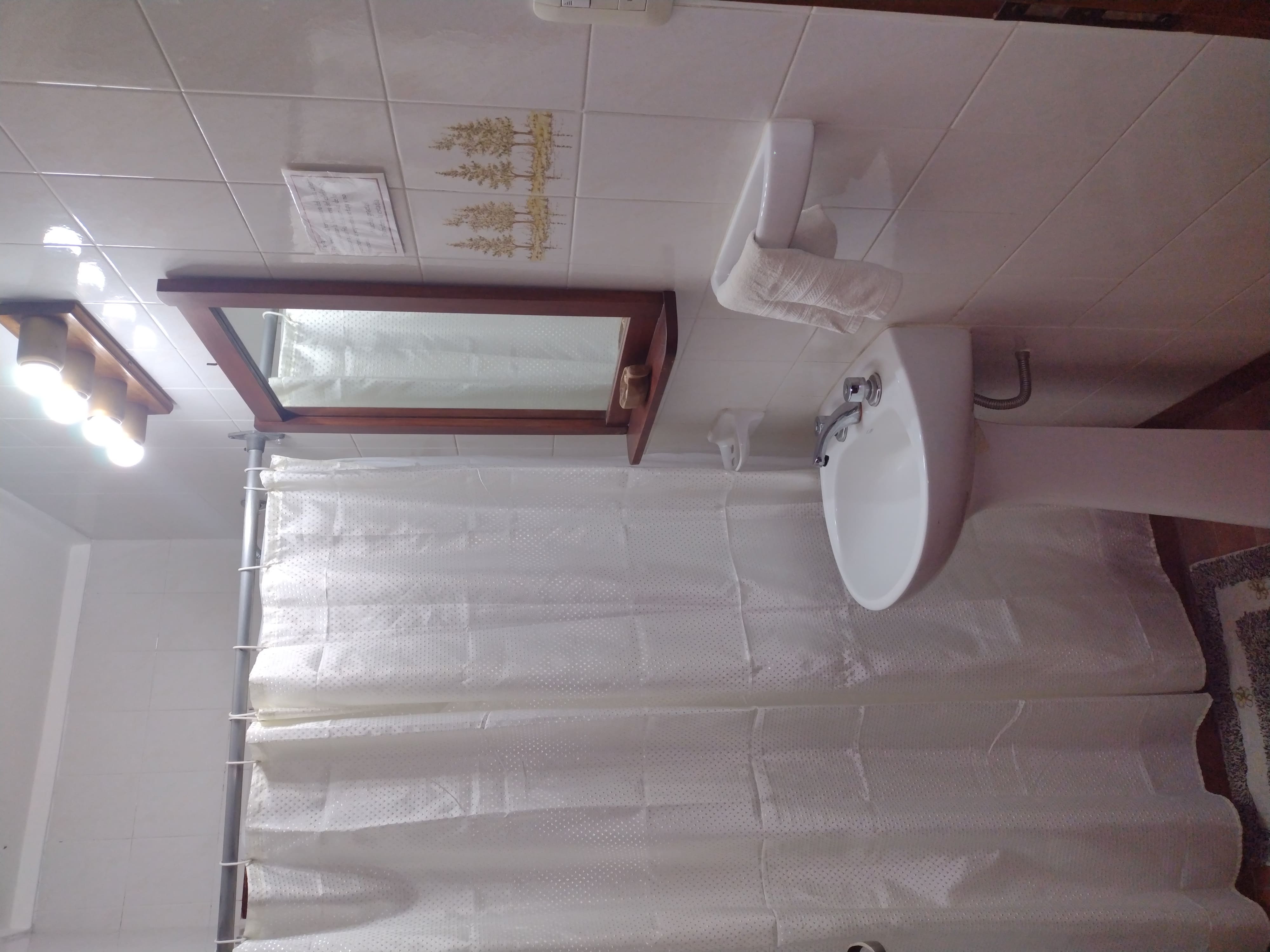 Baño planta baja