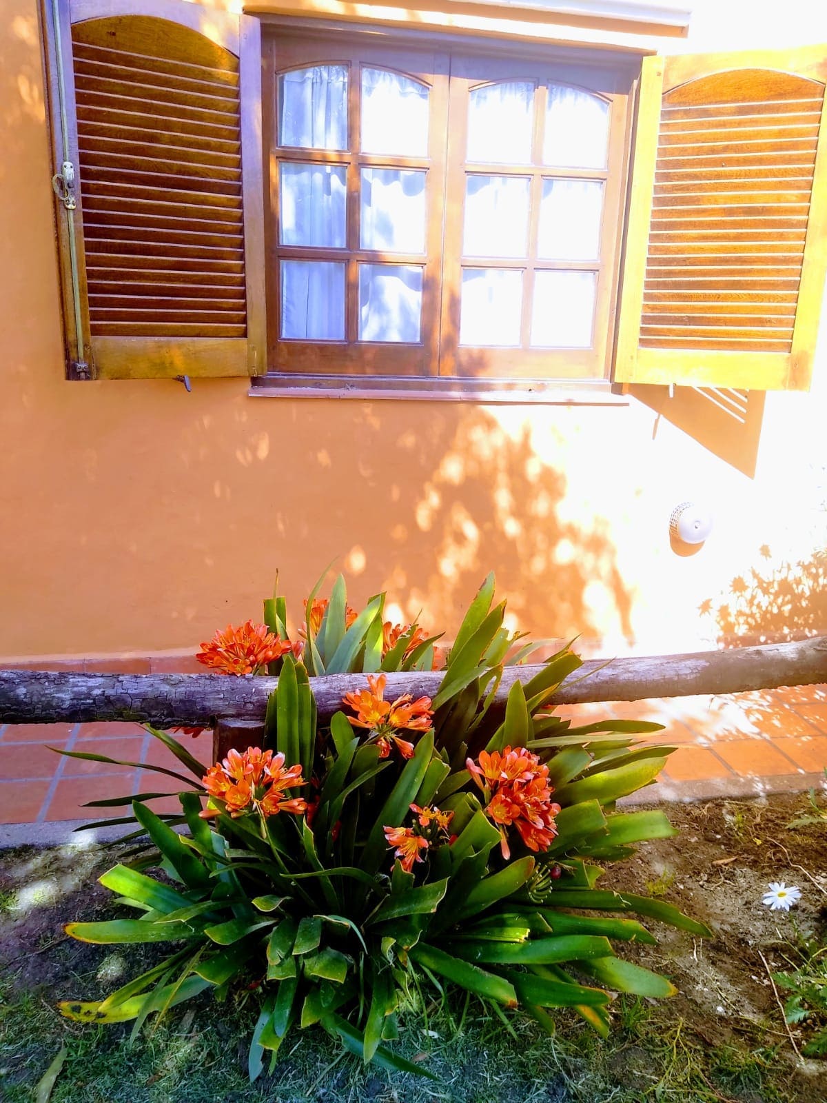 Patio delantero