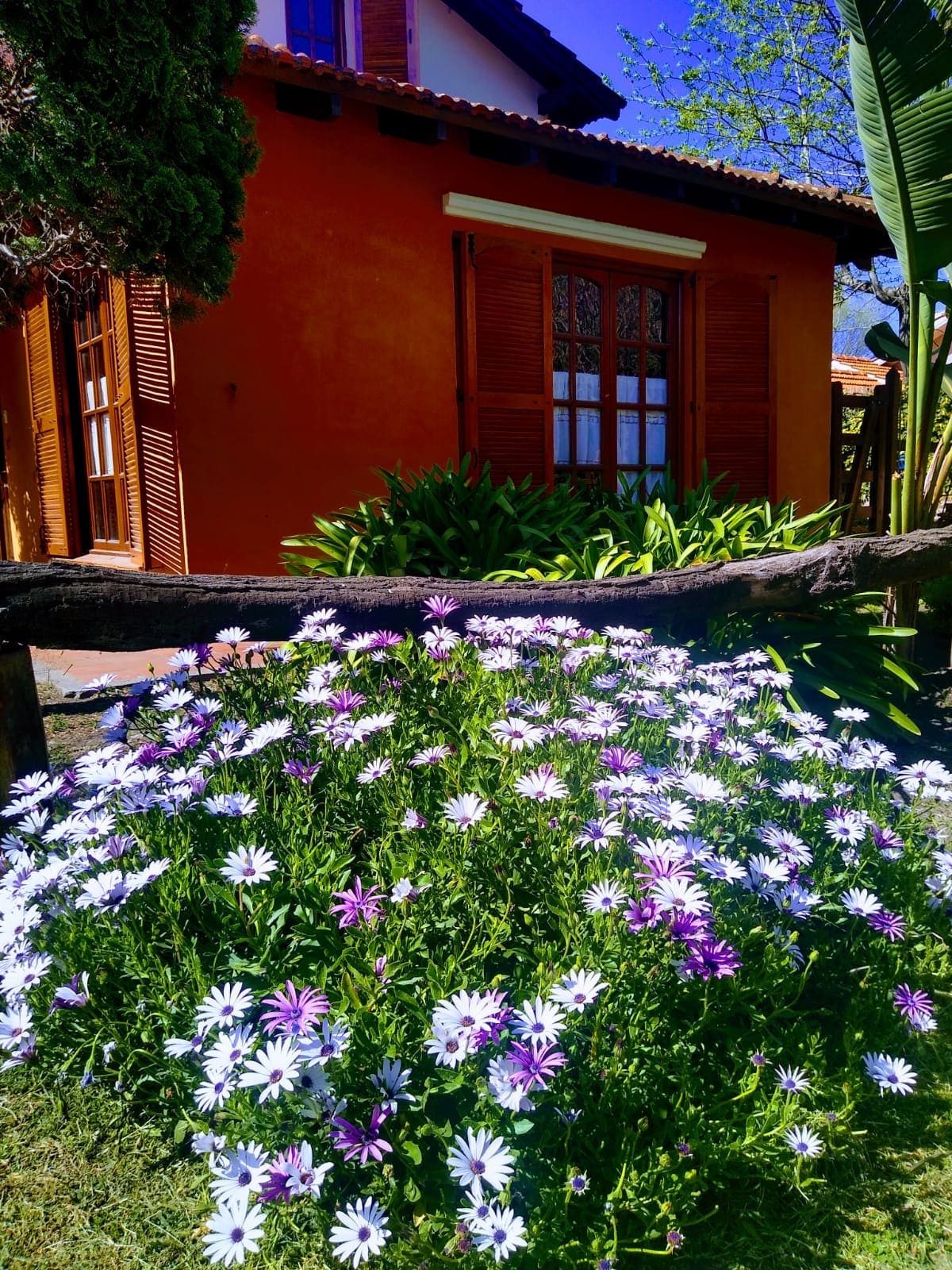 Patio delantero