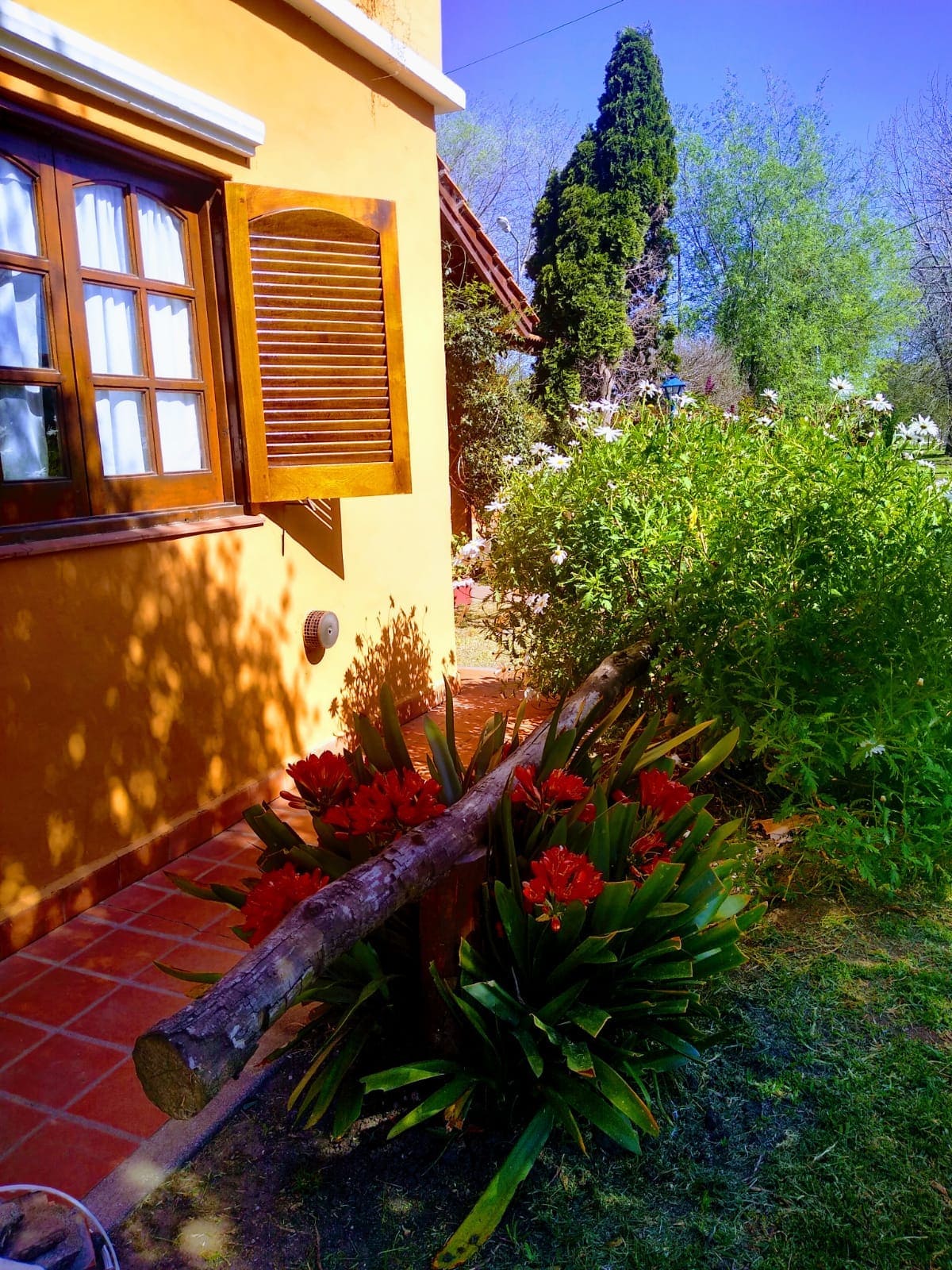 Patio delantero