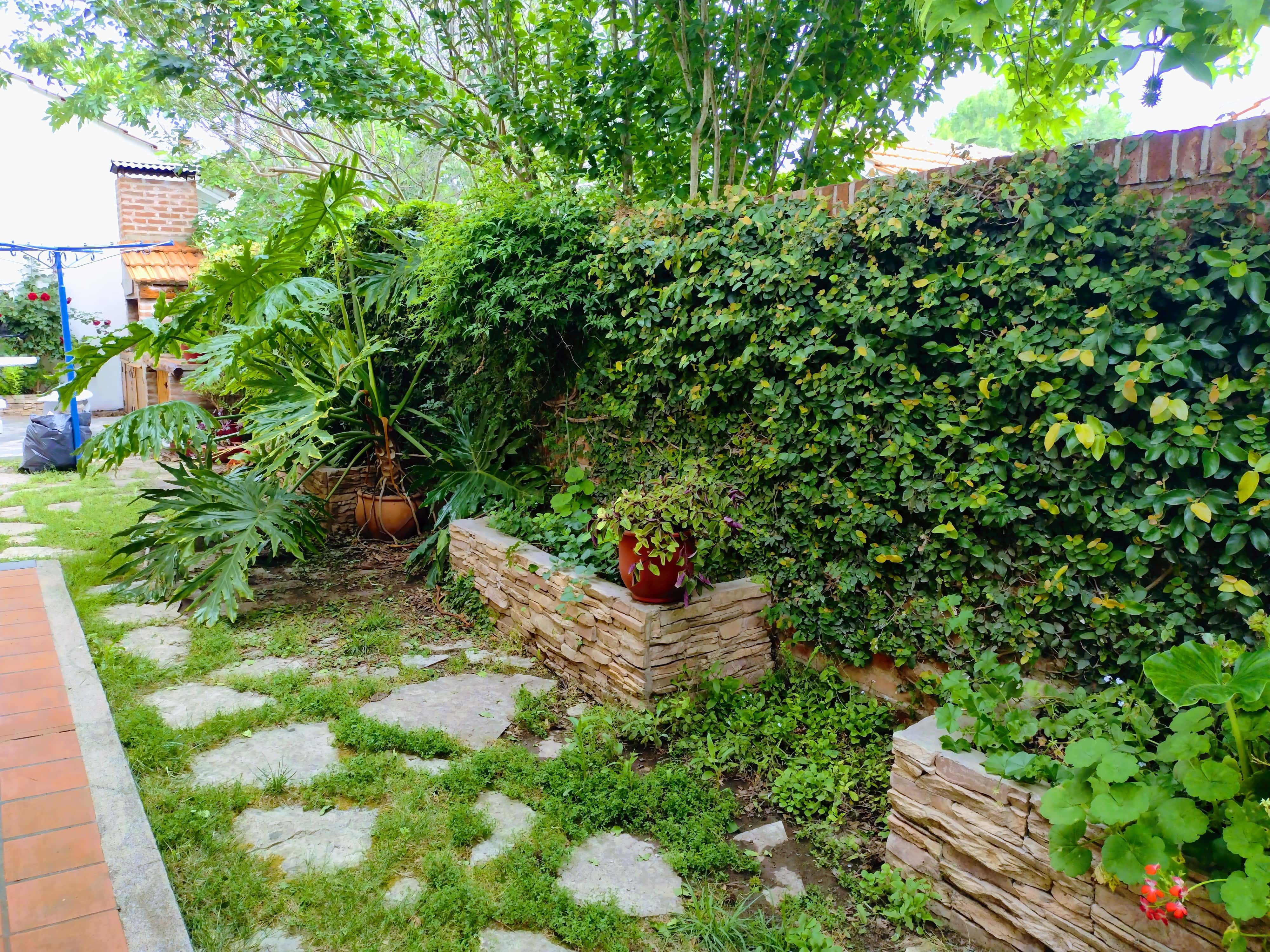 Patio trasero